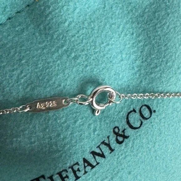 Tiffany & Co. Heart Tag Necklace RARE LIMITED EDITION 727 Fifth Ave Necklace - Picture 7 of 11
